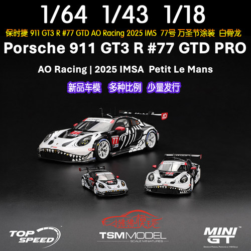TSMMINIGT保时捷911GT3R化骨龙