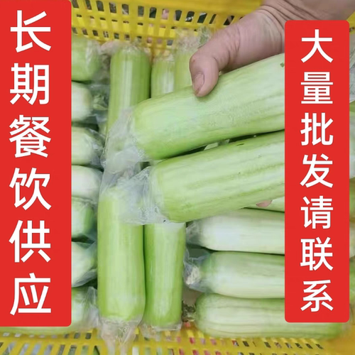 新鲜丝瓜福建蔬菜牛奶农家现摘