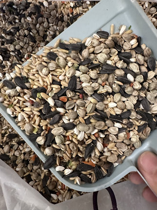 玄凤虎皮牡丹鹦鹉混合粮 店主自配粮中小型鹦鹉量身定制混合粮
