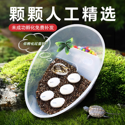 儿童生日礼物创意趣味培养