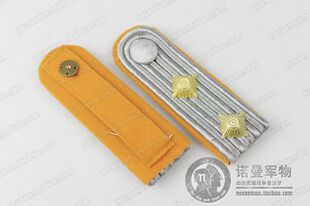 【集合】进口LW空君各级君关肩标WH骑饼 斯图卡BF109