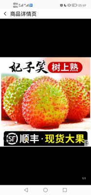 湛江妃子笑荔枝新鲜3斤当季水果整箱包邮应季王孕妇现摘荔枝