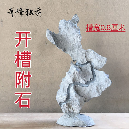 开槽附树石盆景树抱石英德石