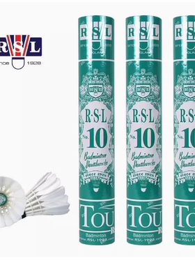 RSL亚狮龙10号 亚10plus+耐打飞行稳定室内室外业余训练球