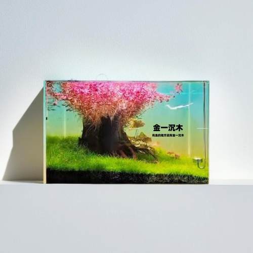 生命之树南美树桩中空树桩定制