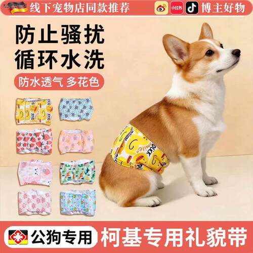 √柯基专用礼貌带公狗尿