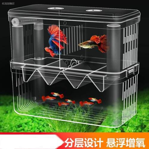 √鱼缸分养盒隔离孵化孔