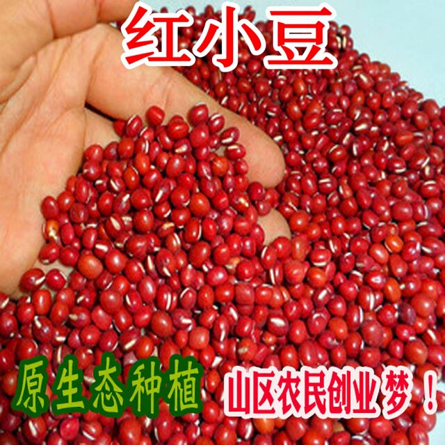 甘肃农家自种新红小豆5斤装包邮