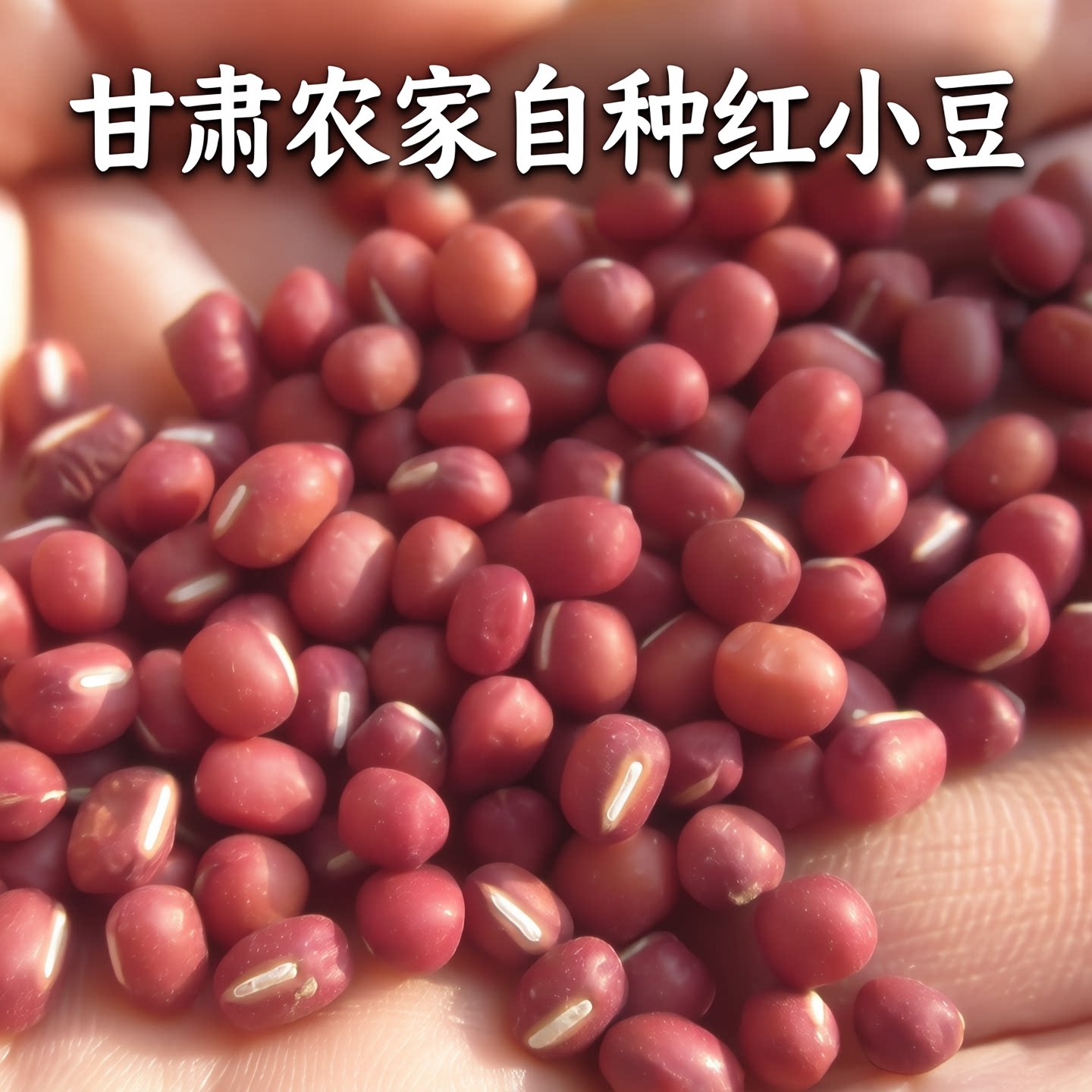 甘肃农家新红小豆5斤装包邮