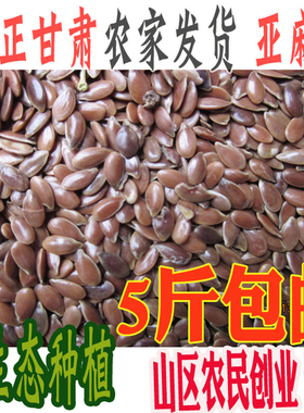 甘肃山区神奇生熟亚麻籽仁 棕色亚麻籽 胡麻子籽农家直发包邮