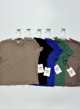 最后一批加拿大女装sundaybest夏季夏款女士短袖T恤H3