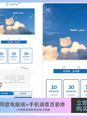同款电脑端手机端店铺首页装修模版永久不续费包安装Z85