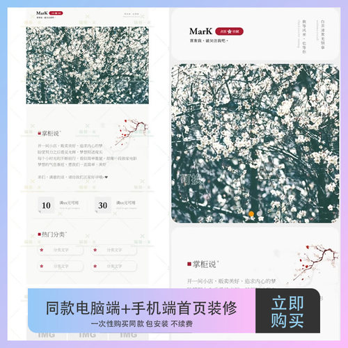 同款电脑端手机端店铺首页装修模版永久不续费包安装Z158