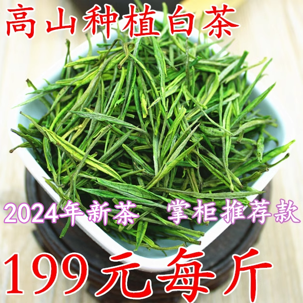 珍稀白茶安吉高山绿茶黄金白茶