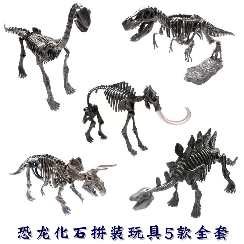 恐龙化石拼装模型蛋壳装全套5款