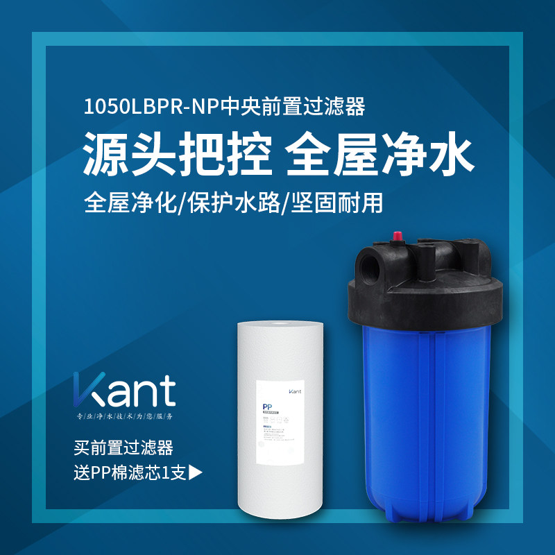 大蓝瓶前置过滤器家用大流量农村地下水前端中央全屋净水器自来水