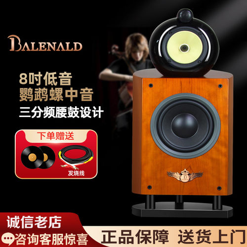 班龙书架鹦鹉螺音箱NS8