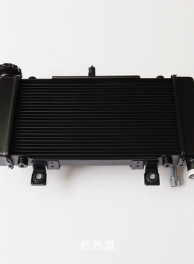 无极525RR DS500X DS500X散热器大师兄风扇组件RR525原车配件