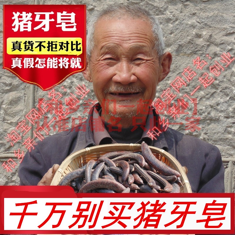 中药材猪牙皂 牙皂 野生小皂荚 小皂角正宗药用倪海厦皂荚红枣汤