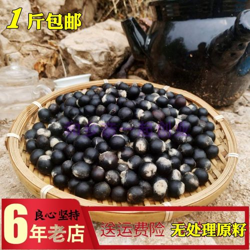 野生无患子种子无患子核散珠原籽佛珠手串手链菩提子木患子油患子