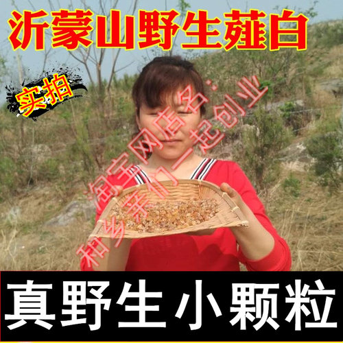 正宗药用泻子瓜蒌非中药材薤白