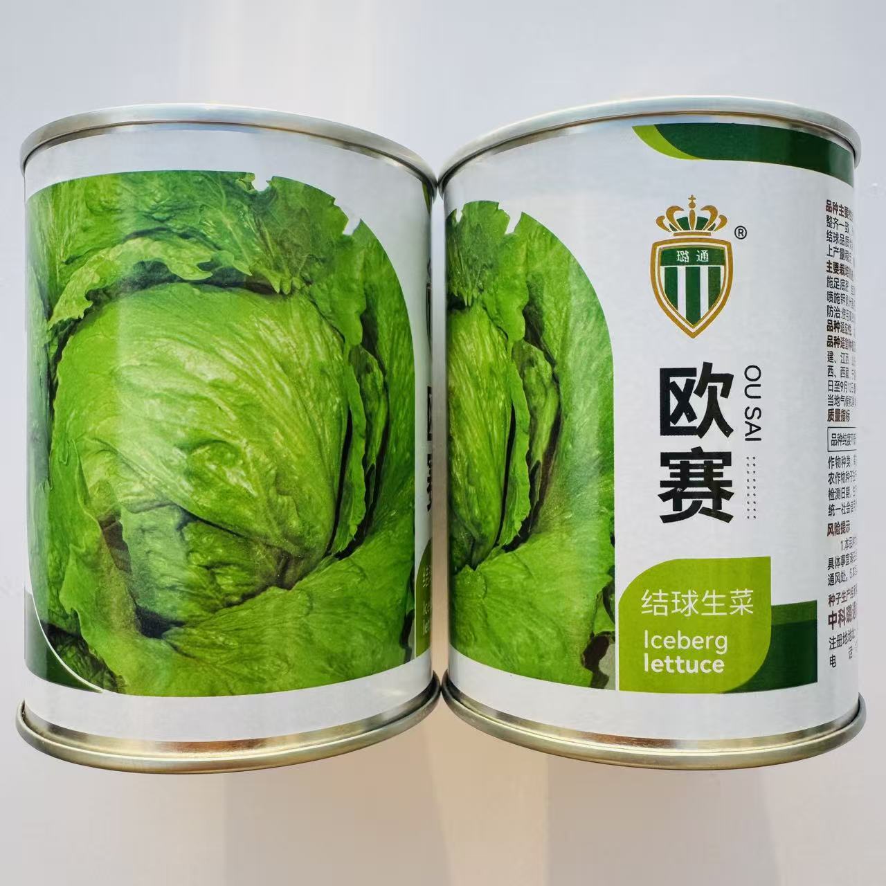 欧赛结球生菜种子叶片绿色叶球圆整结球稳定品质脆嫩抗病适应性广