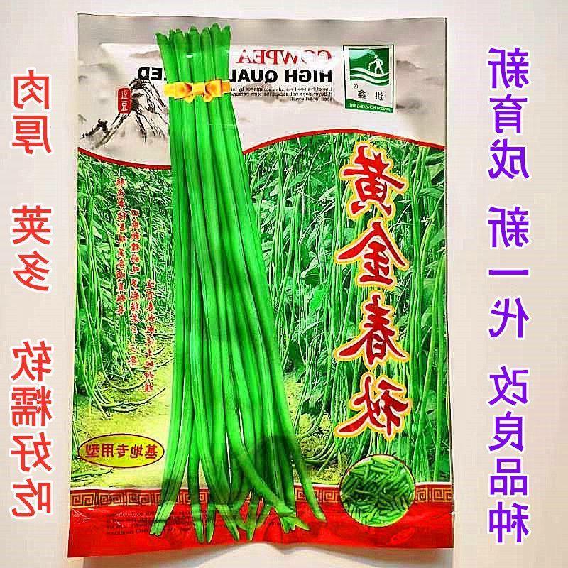 长豆角种子黄金春秋长条高产抗病肉厚荚多耐老好吃采期长豇豆种籽