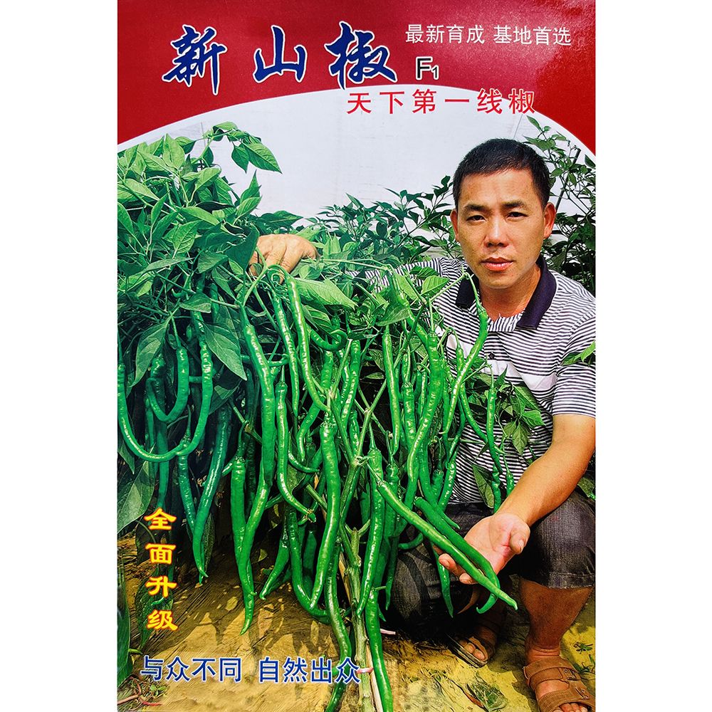 萧研香辣二荆条辣椒种子线椒七彩新山椒朝天椒樟树港美人椒种子
