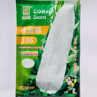 迪甜糯336玉米种子早熟矮杆鲜食粘玉米种子特大棒甜加糯玉米种子