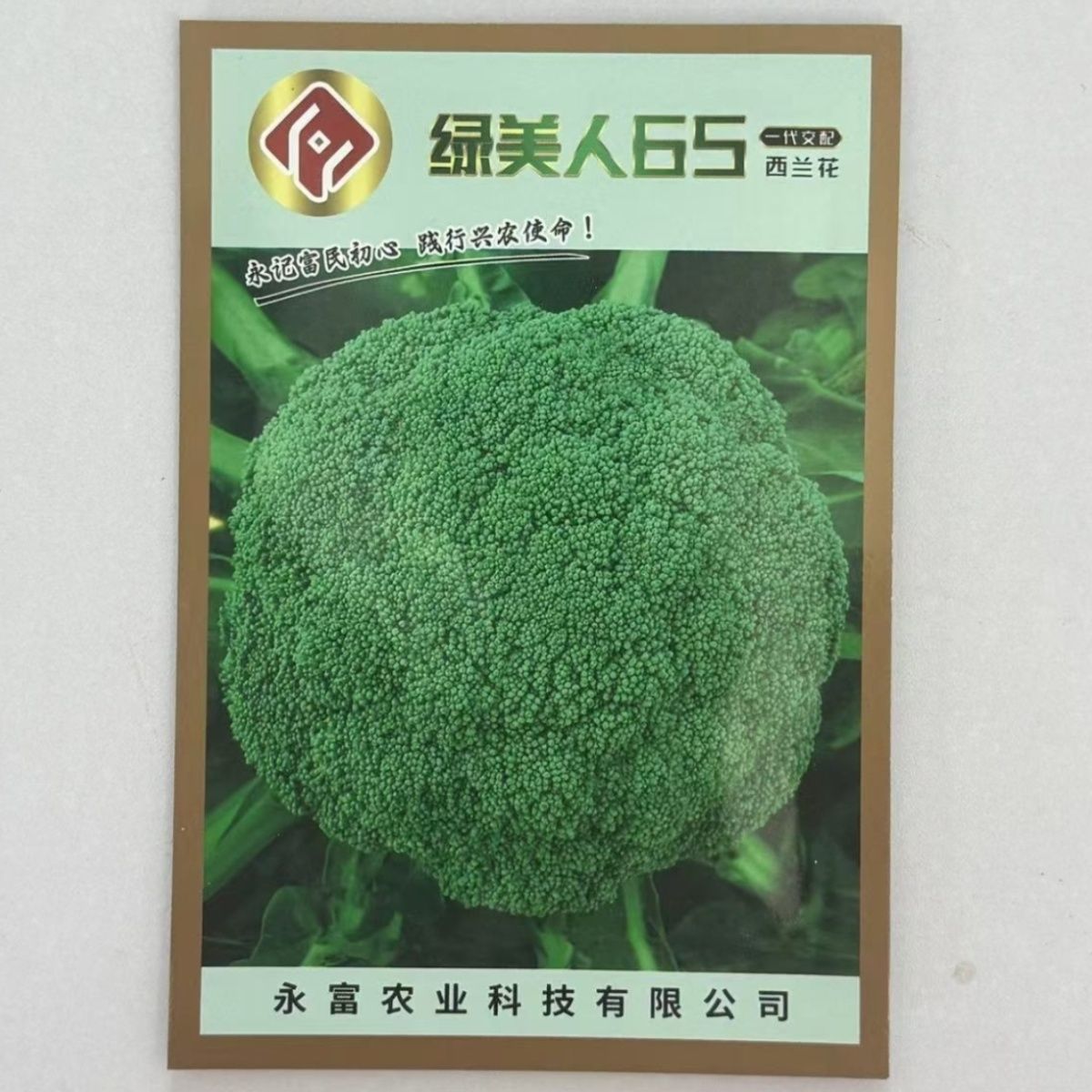 永富绿美人65一代杂交西兰花种子早中熟蕾粒细小深绿半高球秋季播