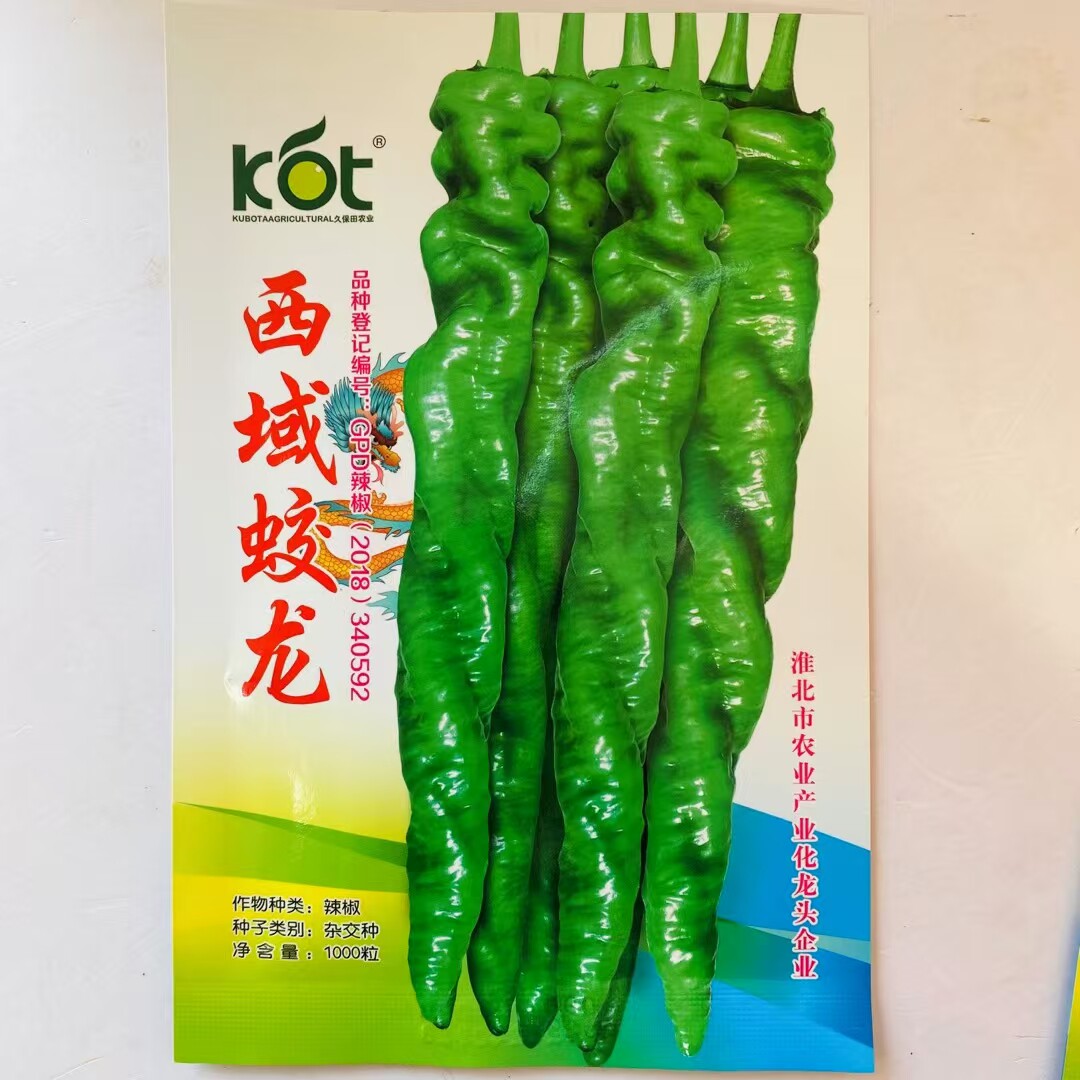 KBT西域蛟龙神龙6号辣椒种子早熟薄皮螺丝椒特辣厚肉春秋大果陇椒