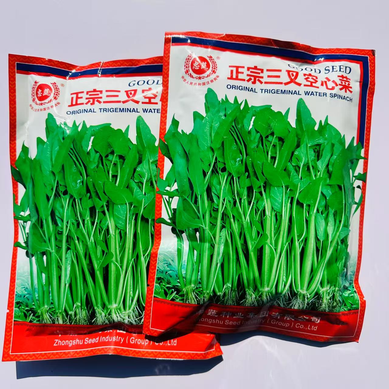 超霸三叉空心菜种子福建中蔬大叶空心菜种子大田基地露天到11月初