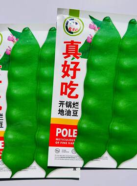 真好吃地油豆种子早熟地油豆种子不用搭架无筋无柴好吃油豆种子