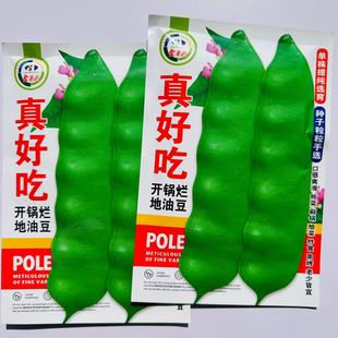 真好吃地油豆种子早熟地油豆种子不用搭架无筋无柴好吃油豆种子