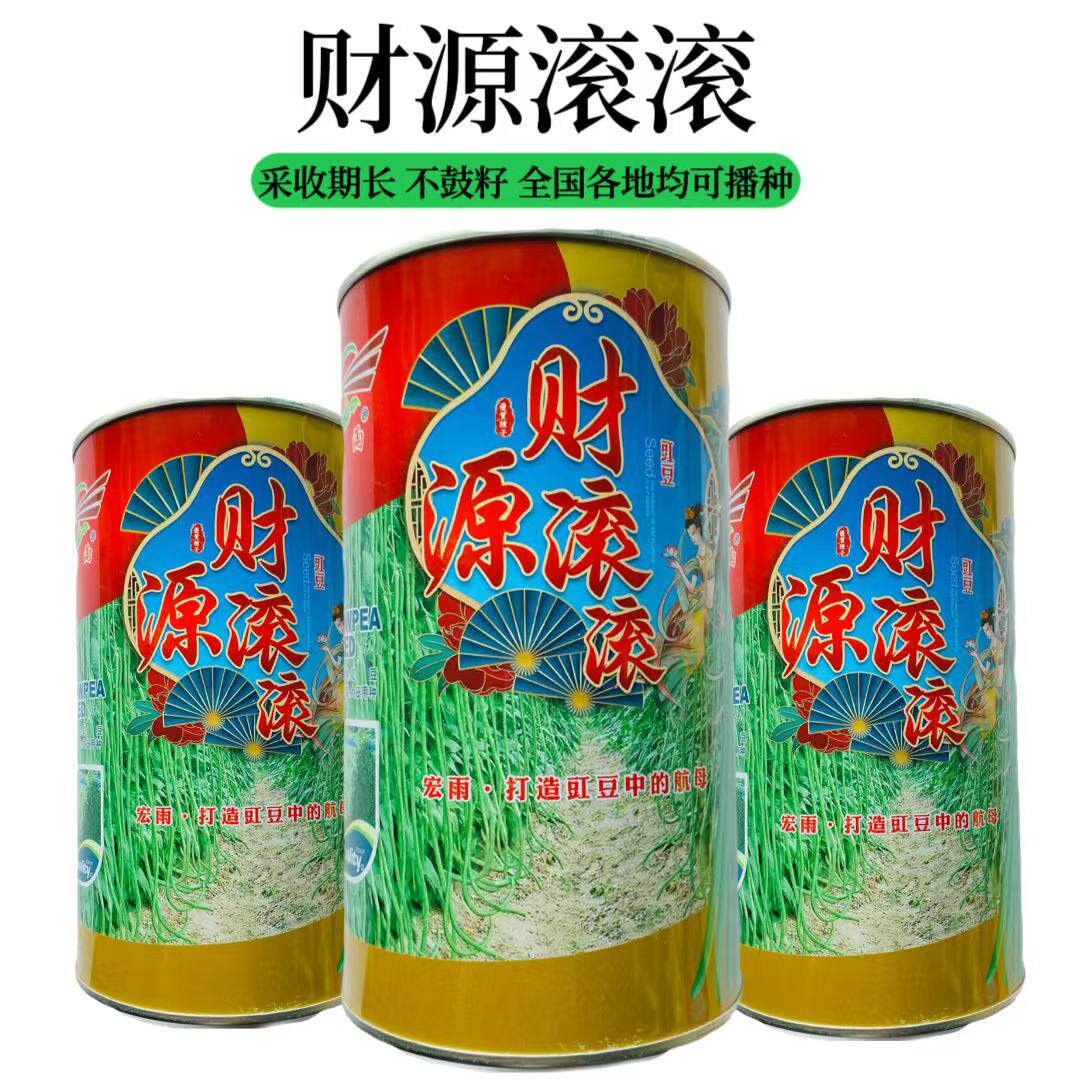 财源滚滚豆角种子条荚顺直双荚多不鼓籽采收期长不鼓仔豆角种子