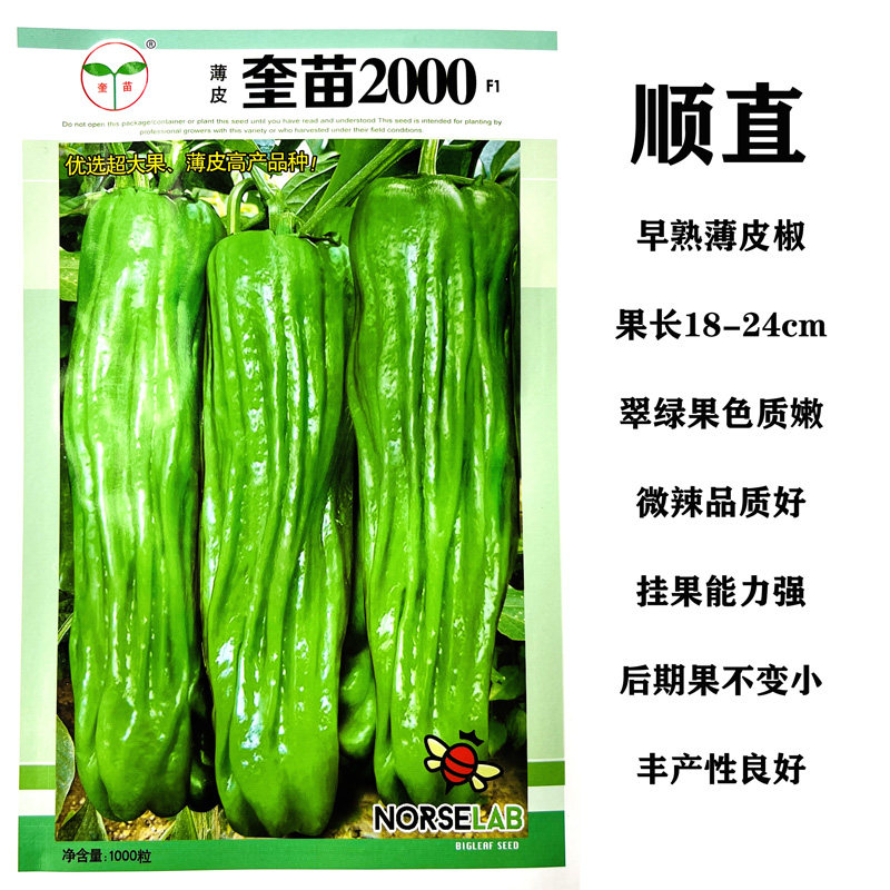 高产薄皮椒种子奎苗2000绿皮微辣