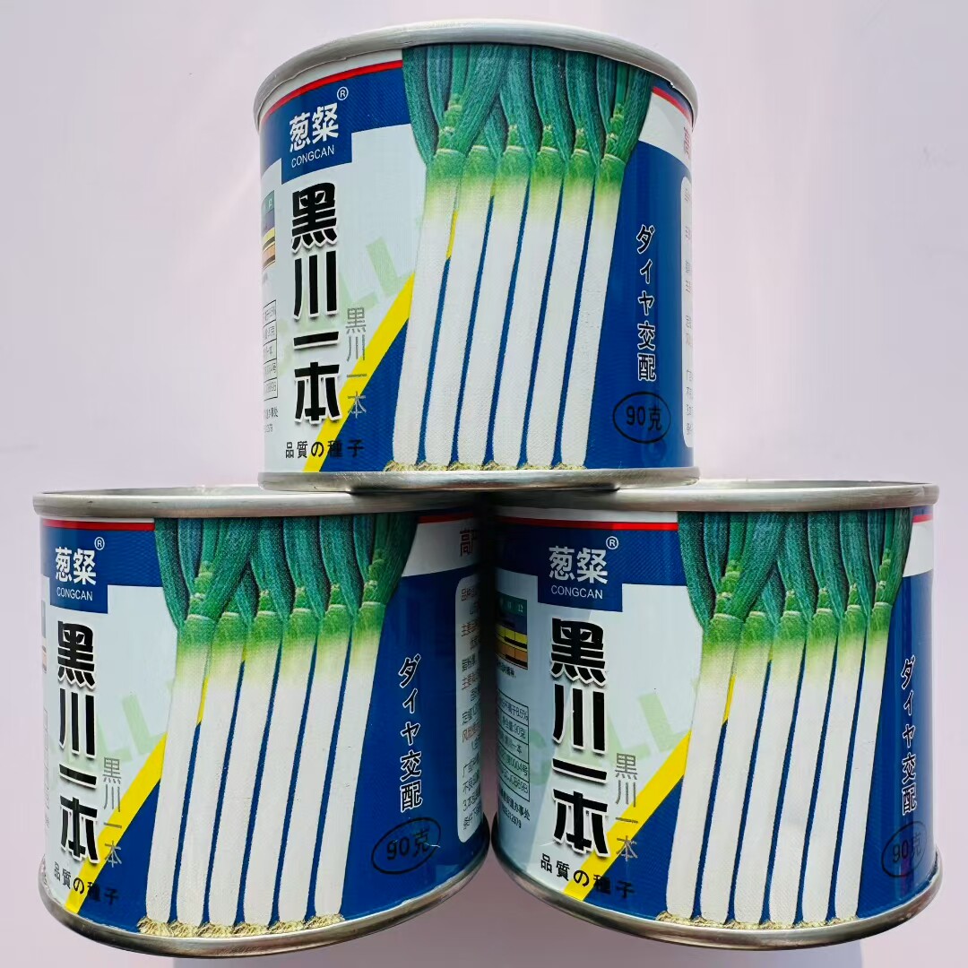新品爆款引进日本铁杆钢葱种子叶片腊粉厚葱白紧实抗病抗倒耐高温