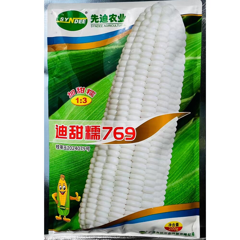 迪甜糯769白玉米种子中熟大棒型加甜糯鲜食粘糯玉米种籽春秋播种