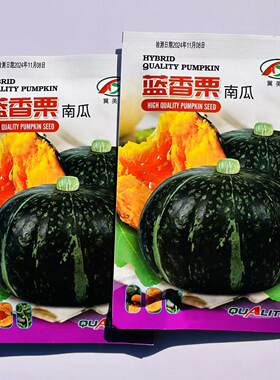 蓝香栗板栗南瓜种籽味甜粉面板栗味南瓜种子粉糯香甜香栗南瓜种子