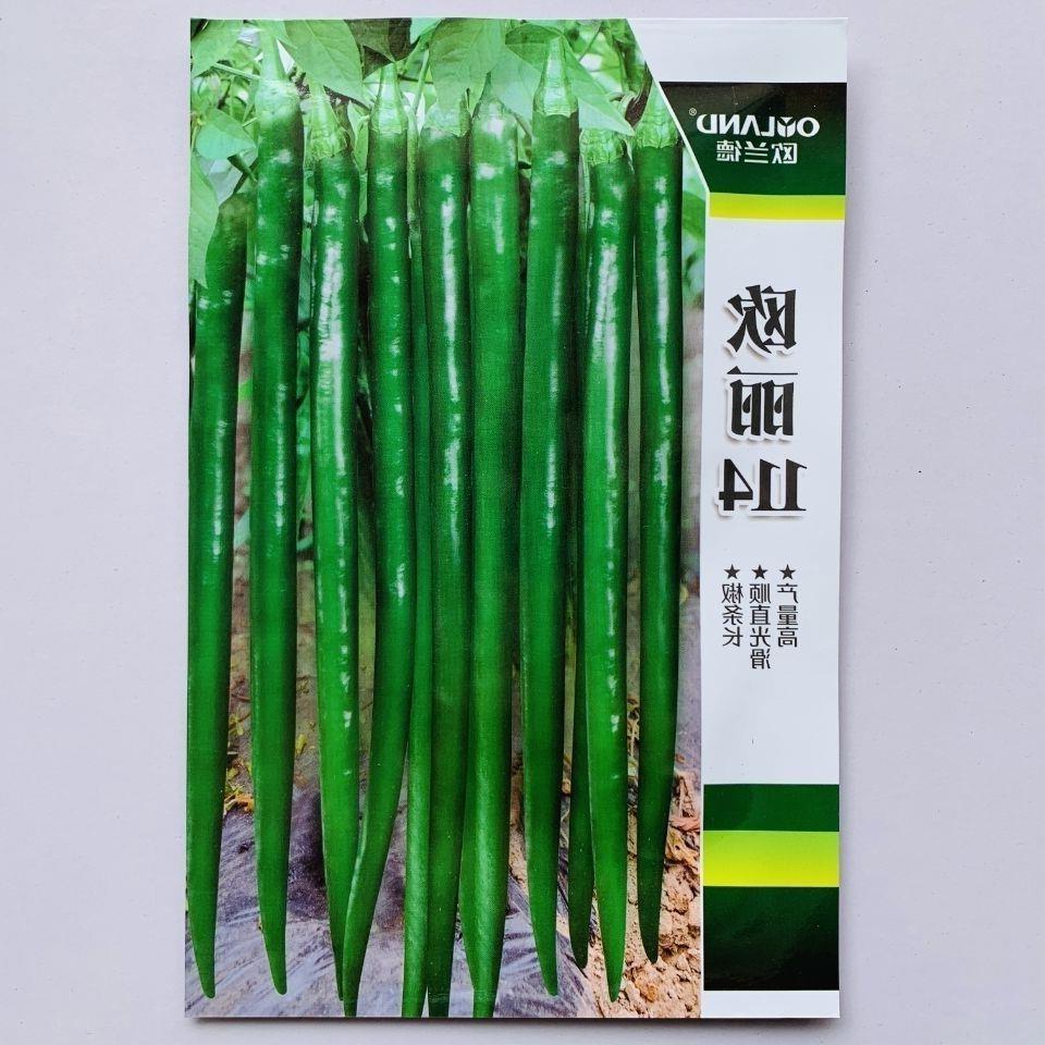 欧兰德丽14线椒种籽子早熟