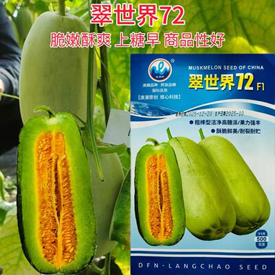 翠世界72博洋72羊角蜜蜜园18香瓜酥脆香甜高唐甜瓜秧苗种子籽孑