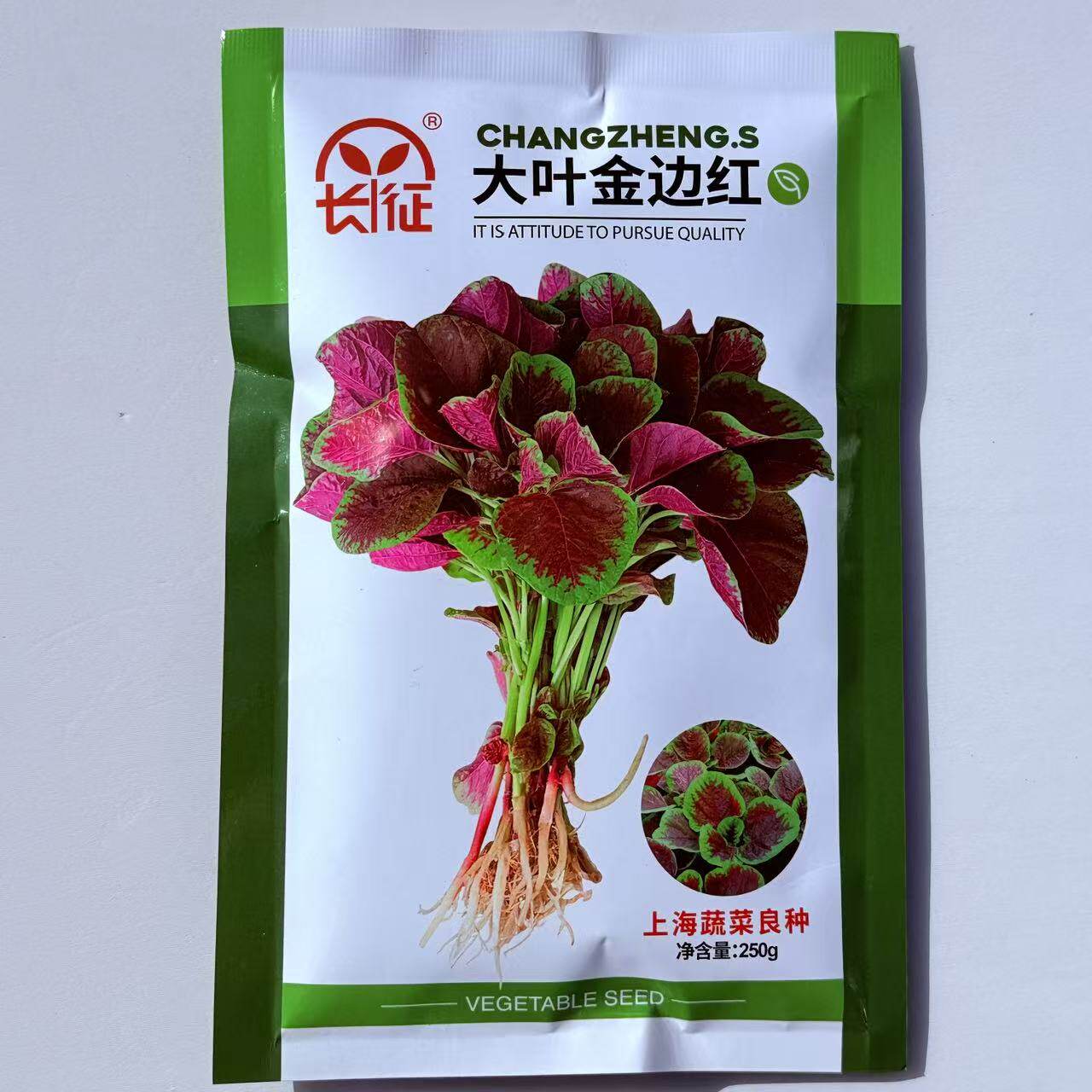 长征大叶金边红花红苋菜种子口感糯滑大叶肥厚高产抗病商品佳春播