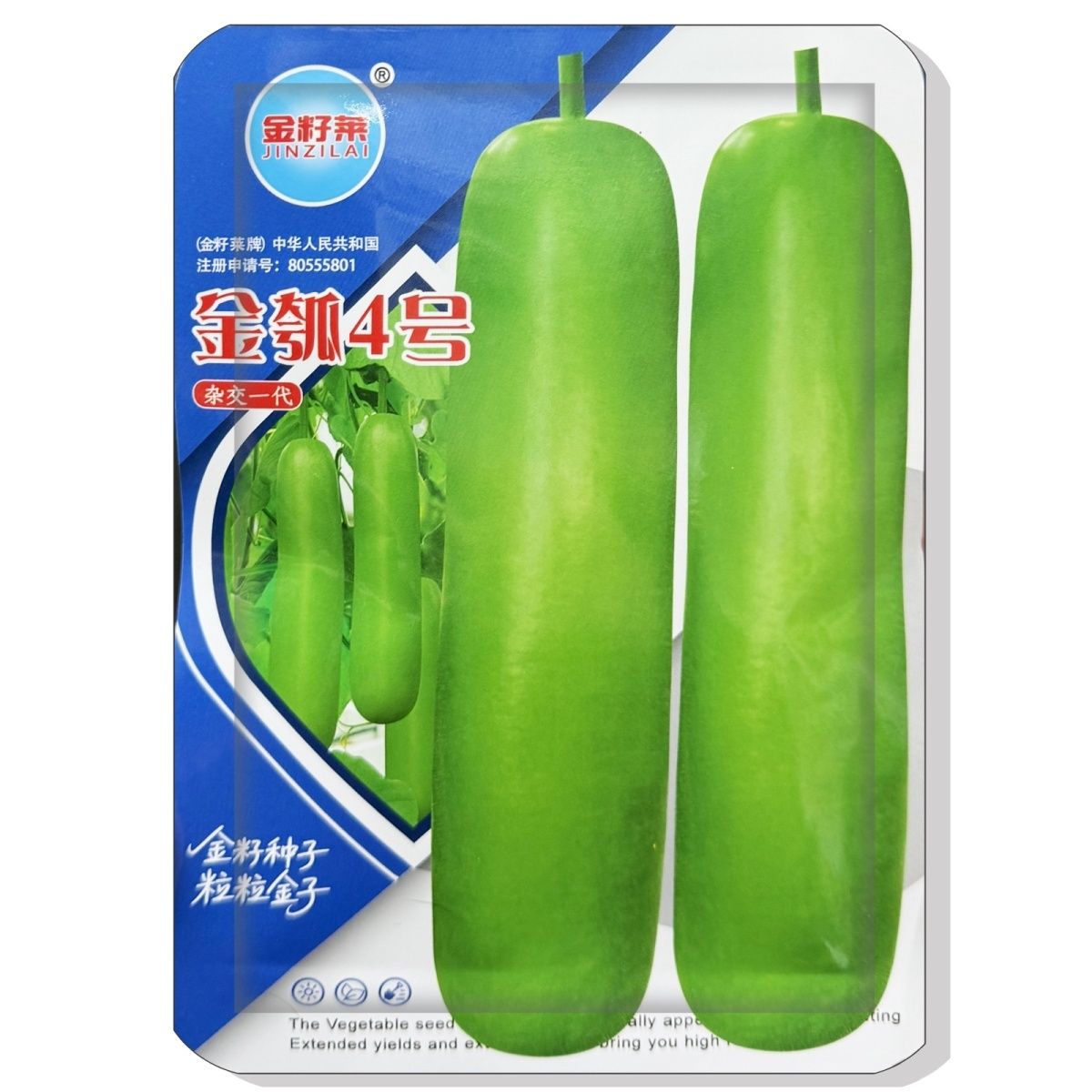 金瓠4号瓠瓜种子早熟杂交油绿短棒蒲瓜种子耐寒耐热抗病强产量高