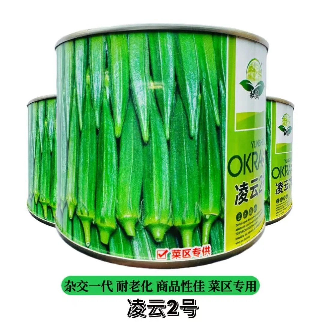 凌云二号秋葵种子高端水果黄秋葵春夏秋菜农蔬菜杂交黄秋葵种籽孑