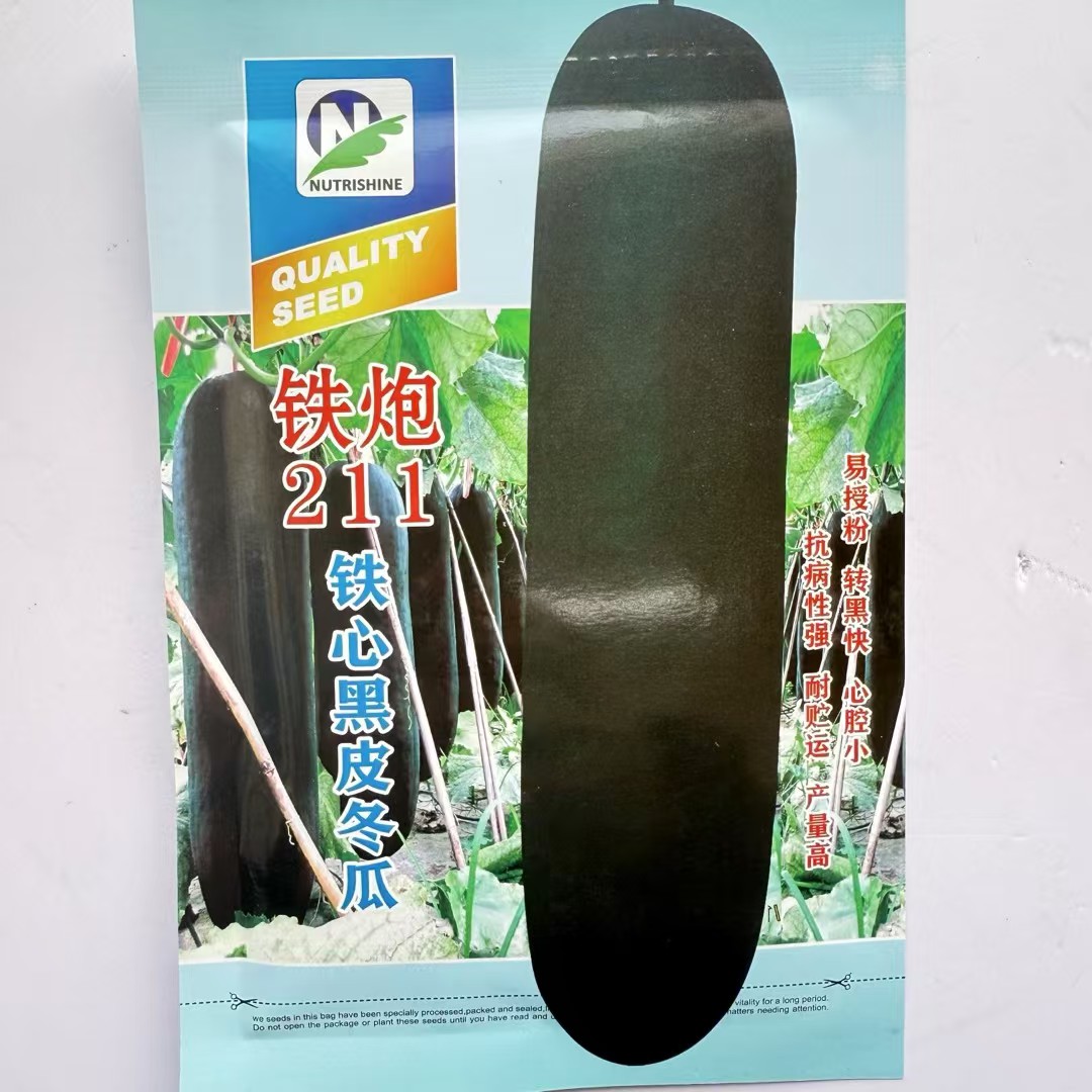 铁炮211铁心黑皮冬瓜种子肉质致密墨绿杂交炮弹型大果抗病春秋播