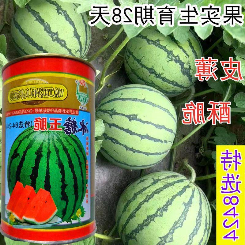 冰糖玉脆西瓜种子抗病薄皮