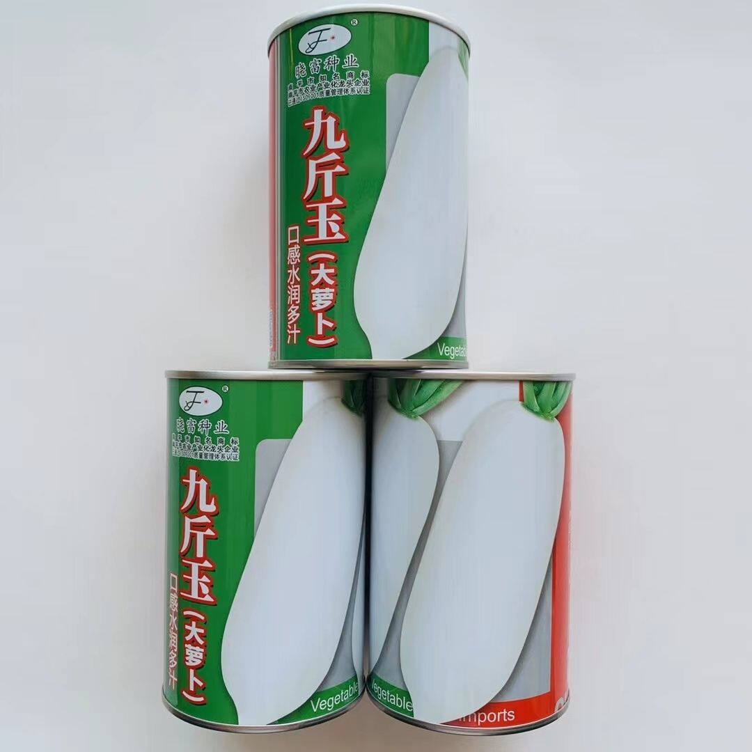 晓富九斤王大白萝卜种子特大白萝卜抗病高产南北方秋季播蔬菜种子
