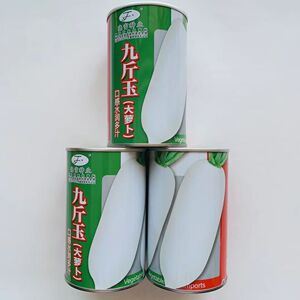 晓富九斤王大白萝卜种子特大白萝卜抗病高产南北方秋季播蔬菜种子