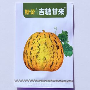吉糖甘来甜瓜种子花皮高糖杂交甜瓜种籽绿肉特甜八里香香瓜种子
