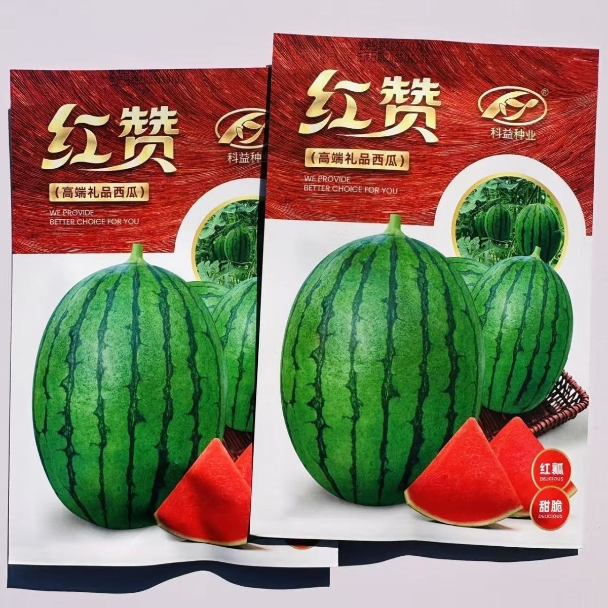 科益红赞礼品西瓜种子早熟一代小型西瓜瓤红椭圆形质脆耐裂抗病强